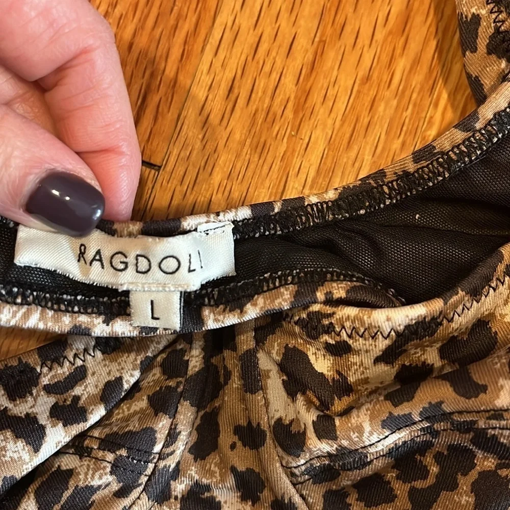 Ragdoll la leopard